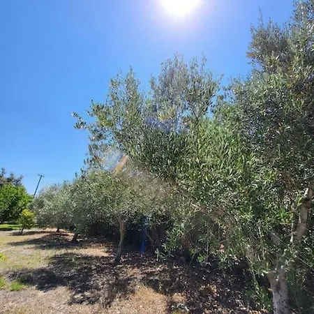Villa Coppa Kos